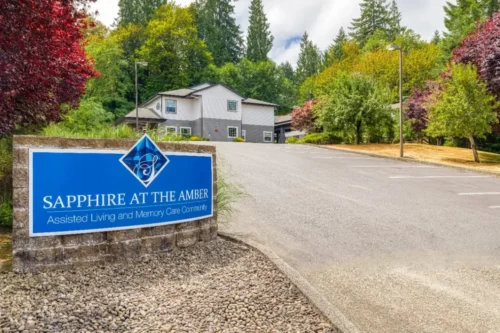 amber-ext20-compressed_Webpifier