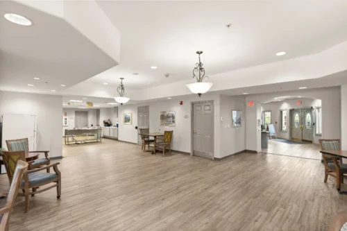 amber-int-08-compressed_Webpifier