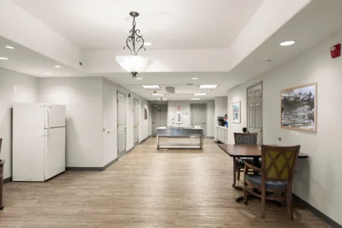 amber-int-15-compressed_Webpifier