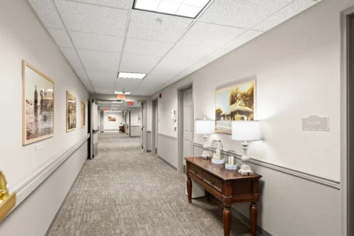 amber-int-33-compressed_Webpifier